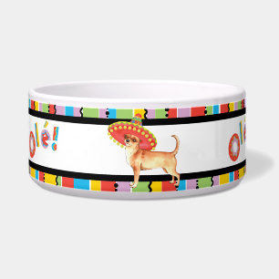 Fiesta Chihuahua Pet
