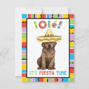 Fiesta Chocolate Lab Invitation