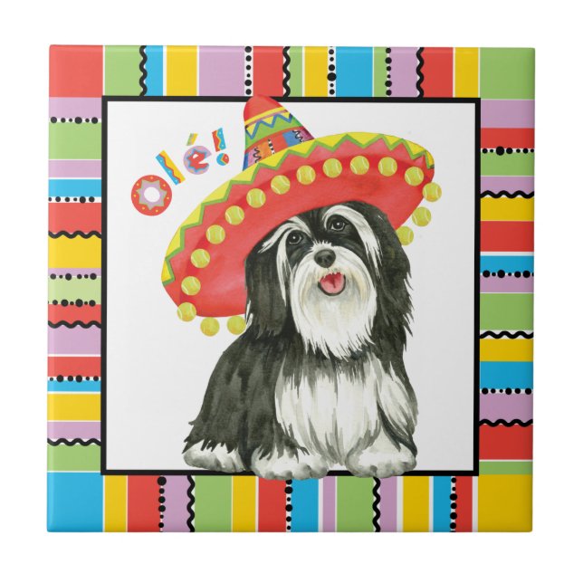 Fiesta Havanese Ceramic Tile (Front)