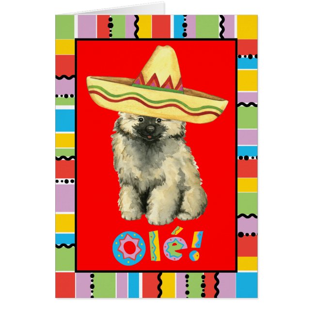 Fiesta Keeshond Greeting Card (Front)
