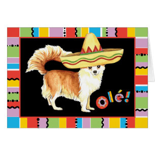Fiesta Long Coat Chihuahua Greeting Card
