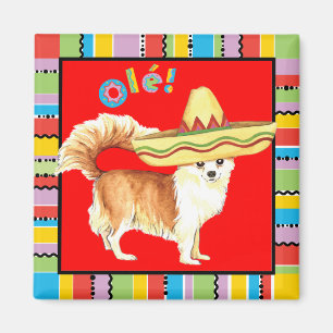 Fiesta Long Coat Chihuahua Magnet