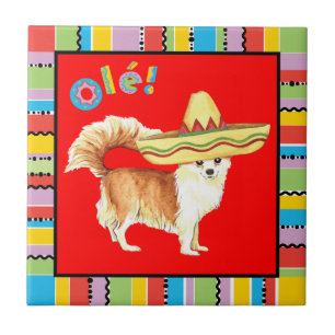 Fiesta Long Coat Chihuahua Tile