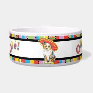 Fiesta Miniature American Shepherd