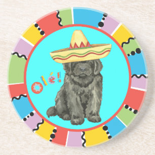 Fiesta Newfoundland Coaster
