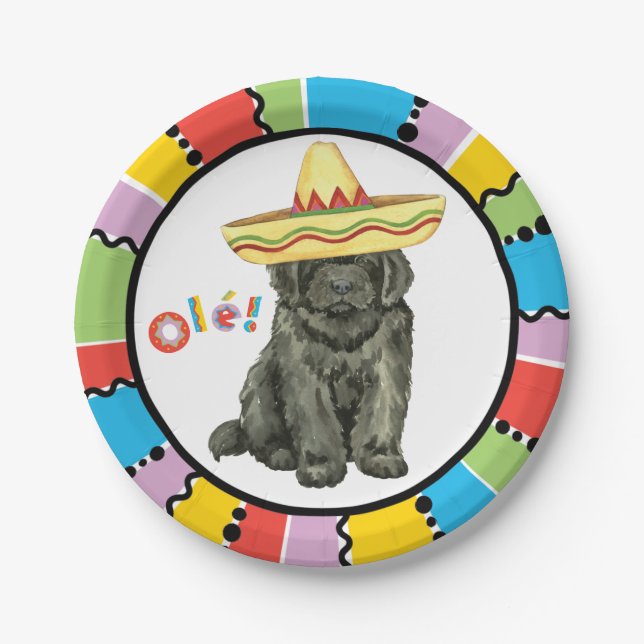 Fiesta Newfoundland Paper Plates (Front)