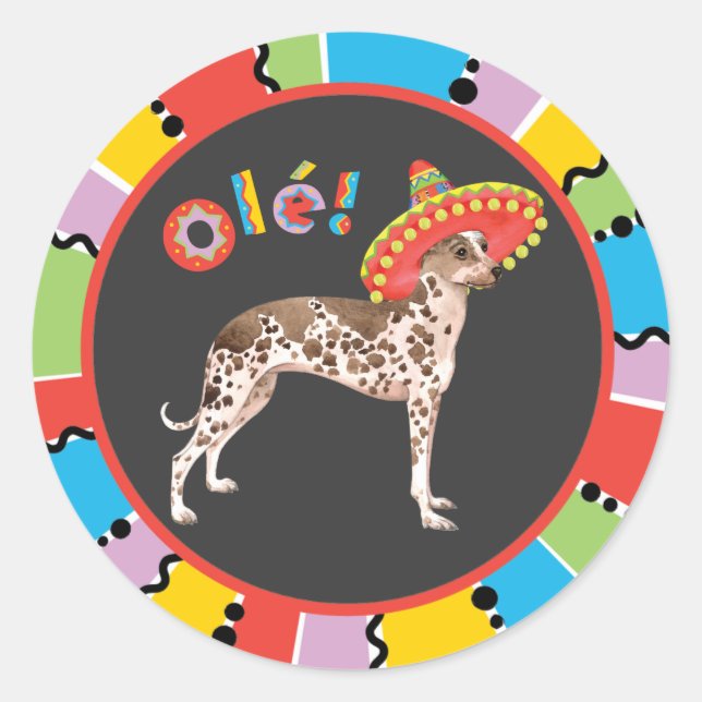 Fiesta Peruvian Inca Orchid Classic Round Sticker (Front)