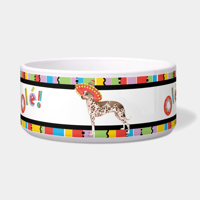 Fiesta Peruvian Inca Orchid Pet (Left)