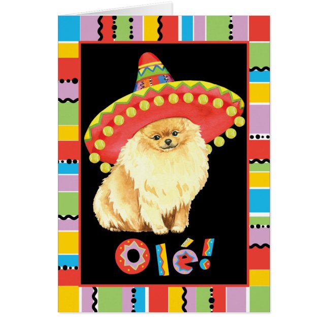 Fiesta Pomeranian Greetimg Card (Front)