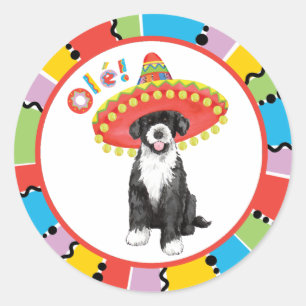 Fiesta PWD Classic Round Sticker
