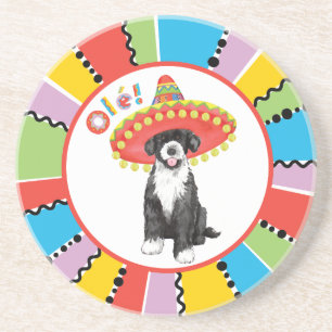 Fiesta PWD Coaster