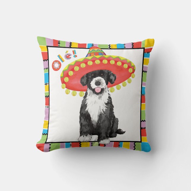 Fiesta PWD Cushion (Front)