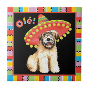 Fiesta Wheaten Ceramic Tile