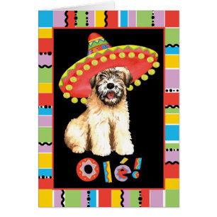 Fiesta Wheaten Greeting Card