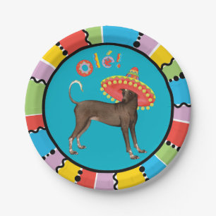 Fiesta Xolo Paper Plate