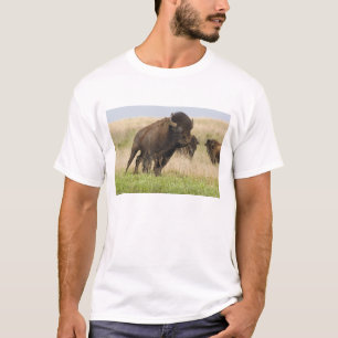 Fiesty young bison bull at the Tallgrass T-Shirt