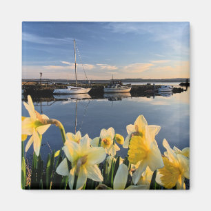 Fife, Scotland scenic photograph Magnet