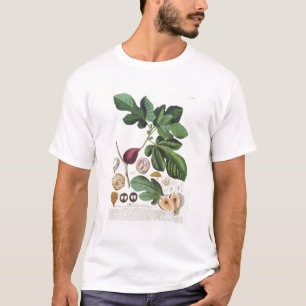 Fig, engraved by Johann Jakob Haid (1704-67) plate T-Shirt