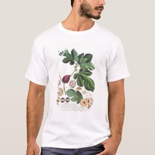 Fig, engraved by Johann Jakob Haid (1704-67) plate T-Shirt