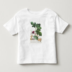 Fig, engraved by Johann Jakob Haid (1704-67) plate Toddler T-Shirt