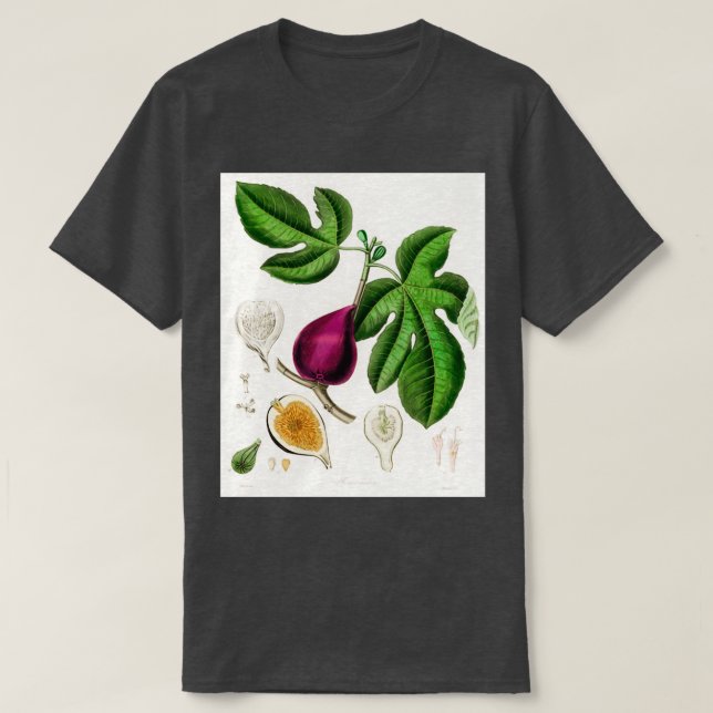 Fig Ficus carica illustration from Medical Botany T-Shirt (Design Front)