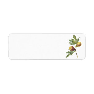 fig(Ficus violacea) by Redouté Return Address Label