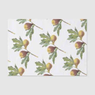 Fig Pattern Tissue Paper