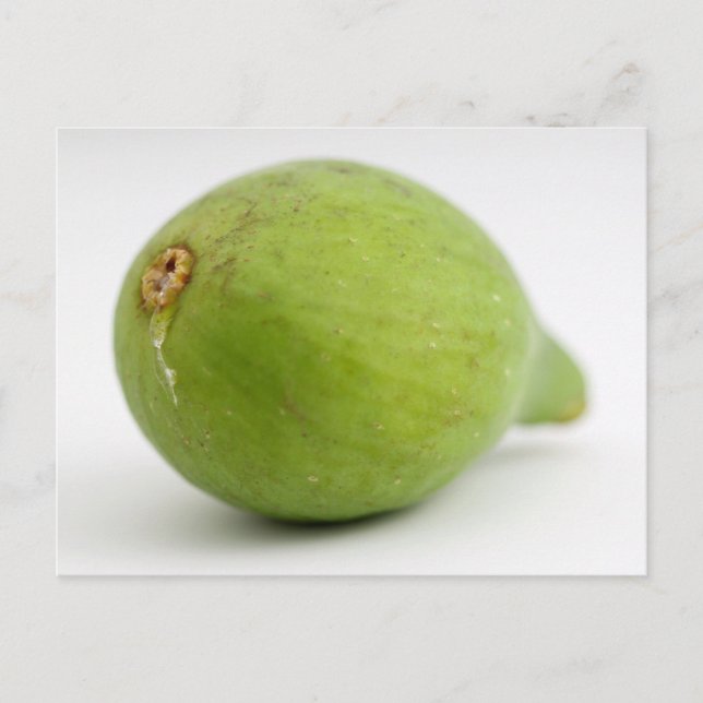 Fig Postcard (Front)