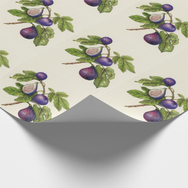 Fig Print Christmas Wrapping Paper - Traditional (Corner)
