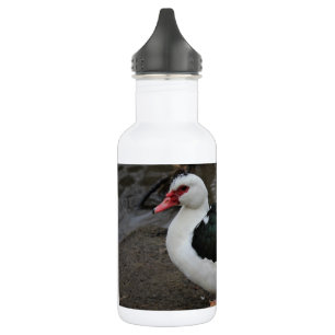 Figgy 532 Ml Water Bottle