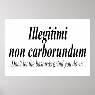 FIGHT BACK Illegitimi non carborundum is a mockLat Poster