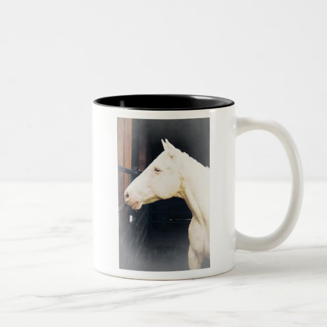 Fight Rocky Fight Mug (Right)