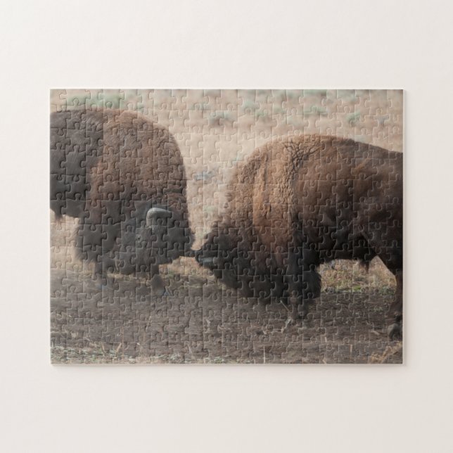 Fighting American Bison Bulls Wildlife Puzzle (Horizontal)