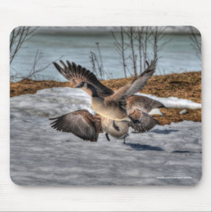 Fighting Canada Geese & Snow Wildlife Photo Mouse Pad