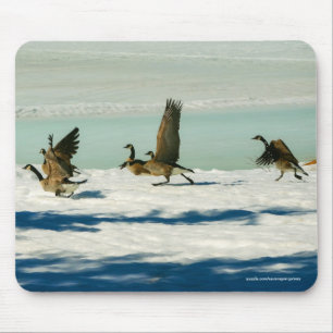 Fighting Canada Geese & Snow Wildlife Photo Mouse Pad