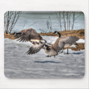 Fighting Canada Geese & Snow Wildlife Photo Mouse Pad