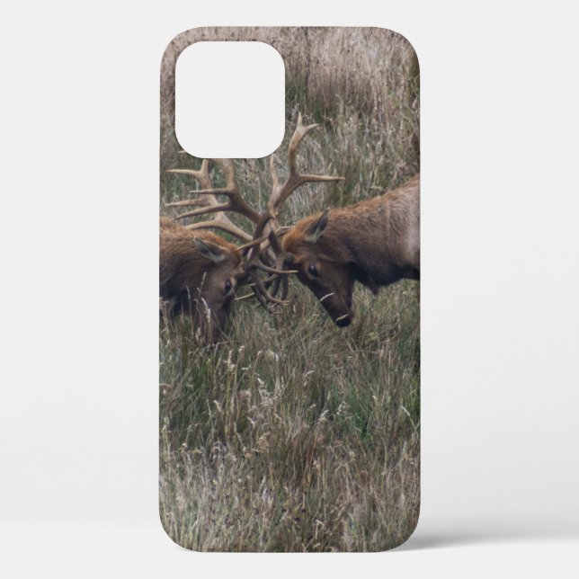 FIGHTING DEERS Case-Mate iPhone CASE (Back)