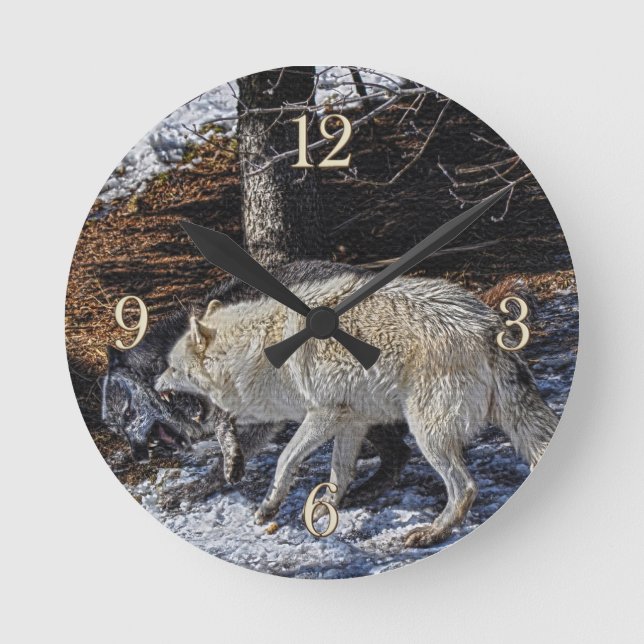 Fighting Grey Wolves Wildlife Clock (Front)
