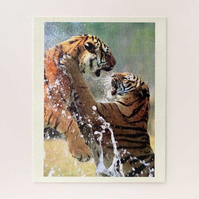 Fighting tigers jigsaw puzzle (Vertical)