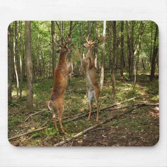 Fighting Whitetail Bucks Mouse Pad (Front)