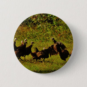 Fighting Wild Turkeys in The Smoky Mountains 6 Cm Round Badge