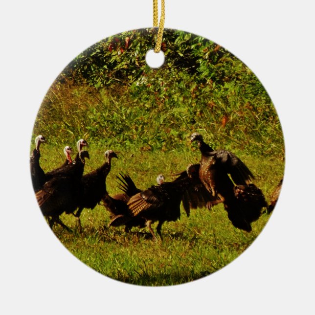 Fighting Wild Turkeys in The Smoky Mountains Ceramic Ornament (Front)