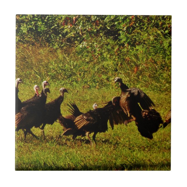 Fighting Wild Turkeys in The Smoky Mountains Ceramic Tile (Front)