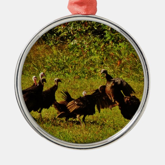 Fighting Wild Turkeys in The Smoky Mountains Metal Ornament (Front)