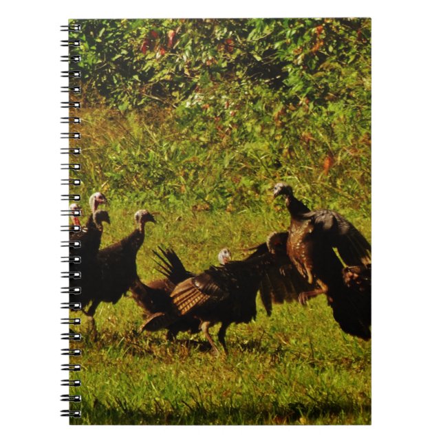 Fighting Wild Turkeys in The Smoky Mountains Notebook (Front)