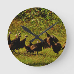 Fighting Wild Turkeys in The Smoky Mountains Round Clock