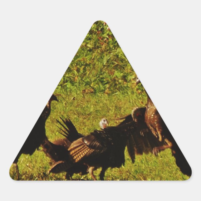 Fighting Wild Turkeys in The Smoky Mountains Triangle Sticker (Front)