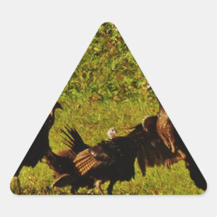 Fighting Wild Turkeys in The Smoky Mountains Triangle Sticker