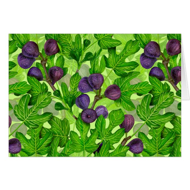 Figs 2 (Front Horizontal)