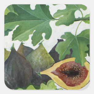 Figs 2013 square sticker